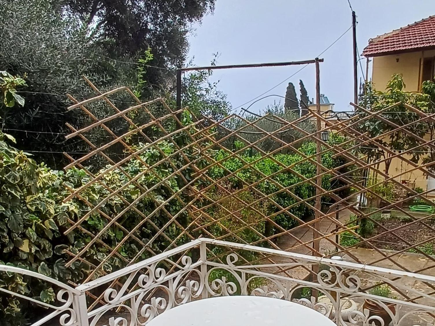 Flora Studios Corfu - Adults Only Беницес Екстериор снимка