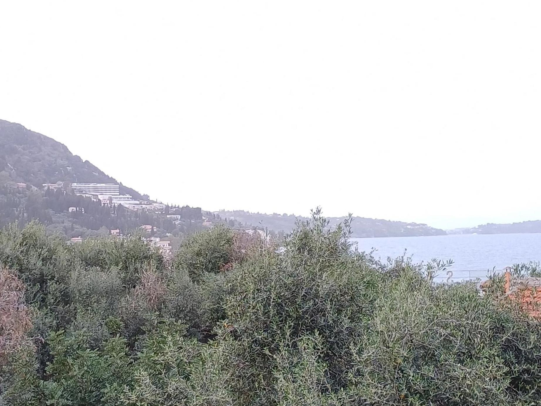 Flora Studios Corfu - Adults Only Беницес Стая снимка