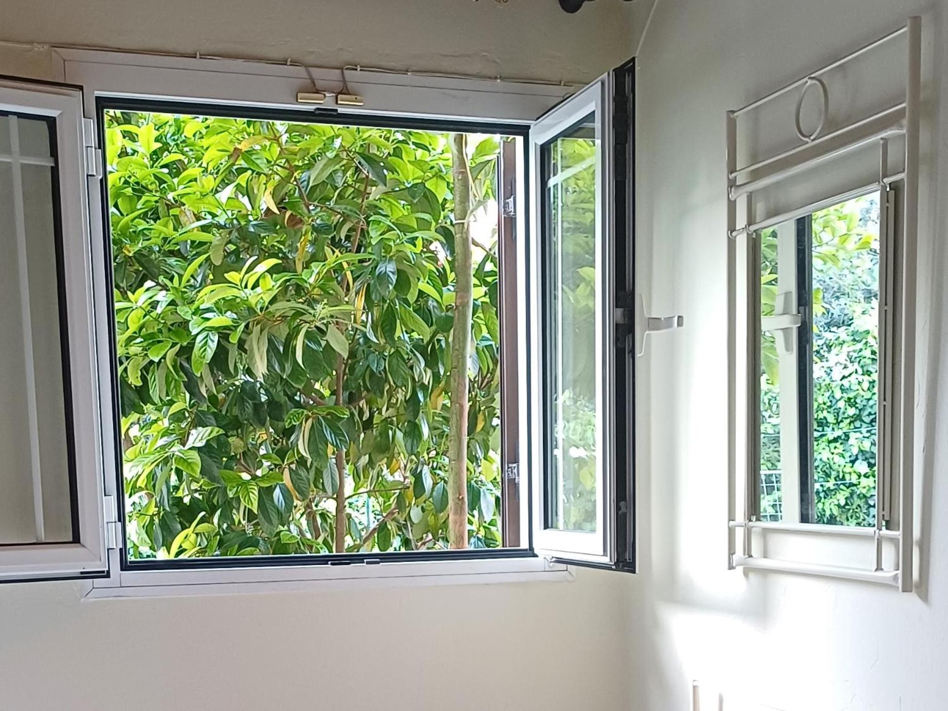 Flora Studios Corfu - Adults Only Беницес Стая снимка